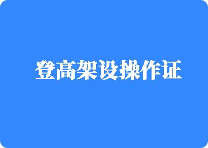 操大奶骚逼登高架设操作证